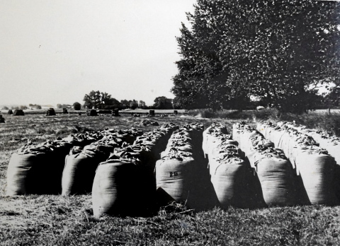Fünen September 1976